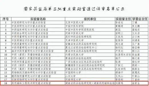 新型辅料的研究