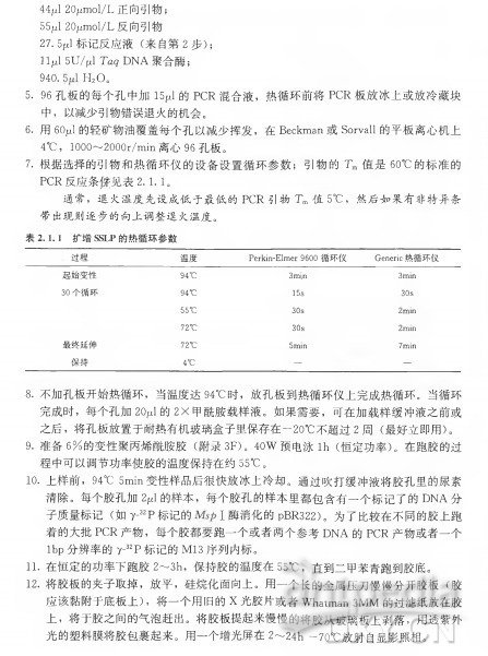 pcr扩增仪原理