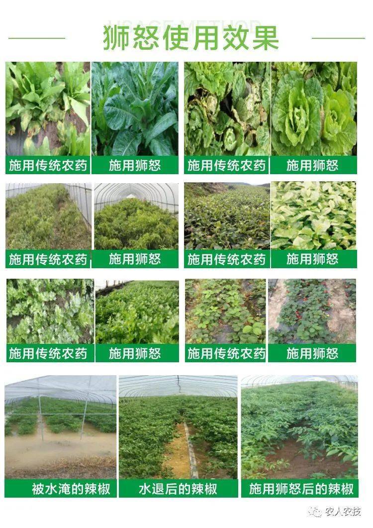 生物农药与肥料，农业可持续发展的绿色之路,数据支持设计计划_S72.79.62