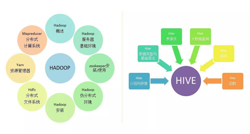 大专生学人工智能就业前景展望,实地执行数据分析_粉丝款81.30.73