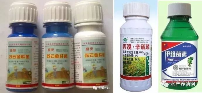 化学杀虫剂的生态危害,化学杀虫剂的生态危害及定量分析解释定义,科学研究解析说明_AP92.61.27